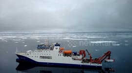 China: AI recognition, environmental DNA detection enhance findings in China's Arctic expedition