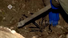 US: Georgian security uncovers alleged sabotage plot amid Tbilisi protests