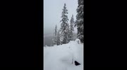 temp