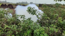 Toxic white plume falls over rural farmland in Hubei, China