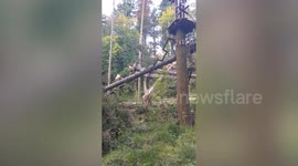 Dramatic footage shows destruction at Go Ape site after Storm Amy
