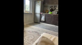 Tossed Diaper Effortlessly Lands In Trash