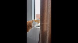 Turning Away Early Morning Proselytizers