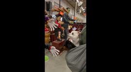 Pet dogs are not fans of Home Depot's Halloween decorations