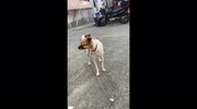 temp