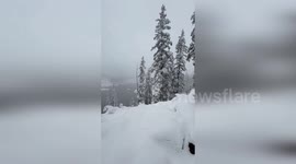 Utah Mountains Blanketed As Early Snowfall Transforms Wasatch Wilderness