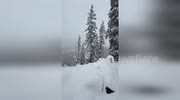 temp