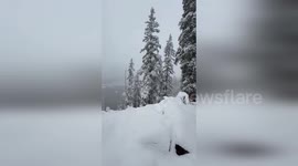US: Early Autumn Surprise: Hiker Captures Ethereal Snowfall in Utah's Wasatch Range