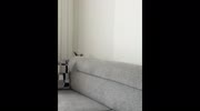 temp