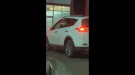 Dog Adorably Scratches Chin On Car Window