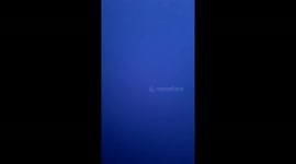 Dog Jumps Out of Moving Car's Window