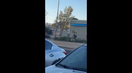 Dog Head and Shoulders Above His Owner