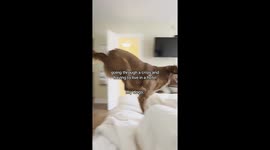 It's Your Crisis, Not Theirs