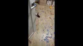 Mum tries to stay calm after finding her kids have covered room in paint