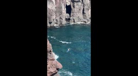 Chinese tourist climbs cliff to rescue local who fell into sea in Japan