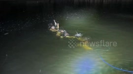 Girl, 15, dies after being pulled under strong current while swimming with friends