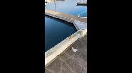 Partially submerged fishing boat spotted in Homer, Alaska, USA