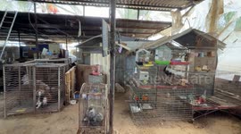 In Gaza, Palestinian family fights to keep zoo animals alive amid Israeli attacks