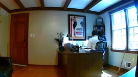 Squirrel Interrupts Conference Call