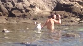 Man goes snorkelling with pet goose