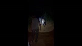 Two Dutch tourists lost in Vietnam forest rescued by police 'after taking wrong turn on Google Maps'