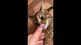 She was smelling my finger. She was smelling my finger. She was smelling my finger.