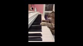 She was sitting next to me, and at some point she wanted to play the piano it really surprised all of us.