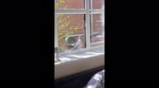 temp