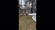 temp