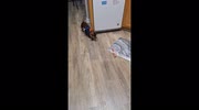 temp