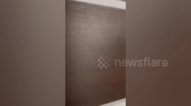 Philippines: Strong 7.4 magnitude earthquake rocks Philippines, triggering tsunami warning