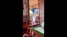 Philippines earthquake jolts home as magnitude 7.5 tremor rocks ground