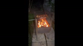 Poodle’s fur briefly catches fire by grill in São Sebastião, Brazil