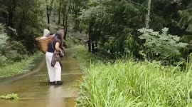 Two people slip and tumble on a forest path in Sichuan, China