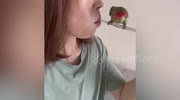 temp