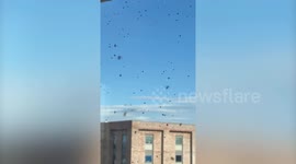 Tower block tenants swarmed by THOUSANDS of flies unable to open windows for weeks