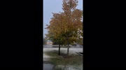 temp