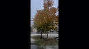 temp