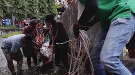 Terrifying Predation: Giant Crocodile Trapped and Hunted