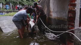 Terrifying Predation: Giant Crocodile Trapped and Hunted