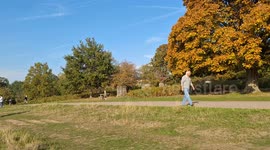 Park sunny day in Autumn cycling group tales uphill