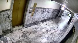 Intruder caught damaging artefacts inside Legislative Building in Washington