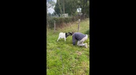 Man shares playful moment with small goat in Caen, France