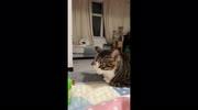 temp