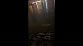 Fluorescent sea glows after splash at Liaoning beach, China