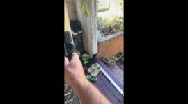 Boys playfully duel with pool noodles in Brisbane, Australia
