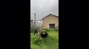 temp