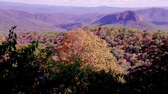 People stopping on the BLue Ridge Parkway to observe the colour changes of the trees in Western North Carolina