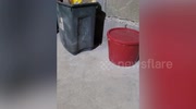 temp