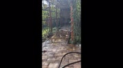 temp